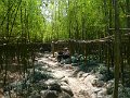 Shanghai (071)